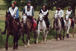 groupe en course d'endurance